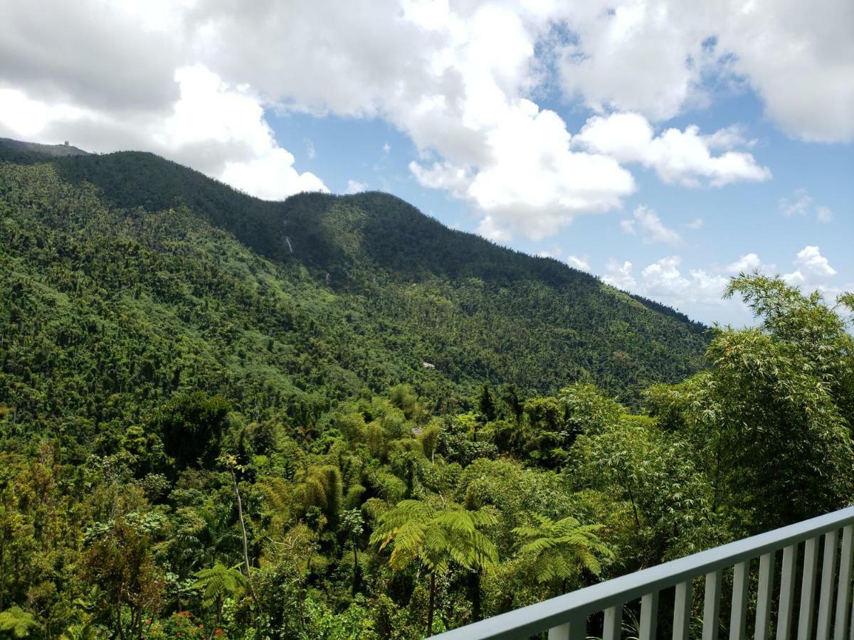 Casa Cubuy Ecolodge Naguabo Exterior photo